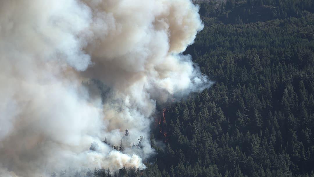 FAB 2025 &laquo;Ecos del Fuego&raquo; de Hern&aacute;n Andrade (65′)