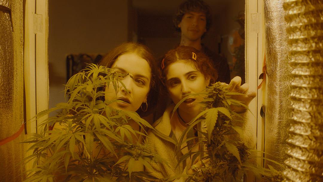 FAB 2025 Muestra: DIA-EXT-BARILOCHE: Verano Trippin de Verano Trippin (86′)