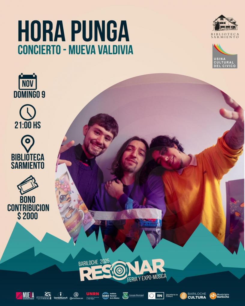 Hora Punga desde Valdivia