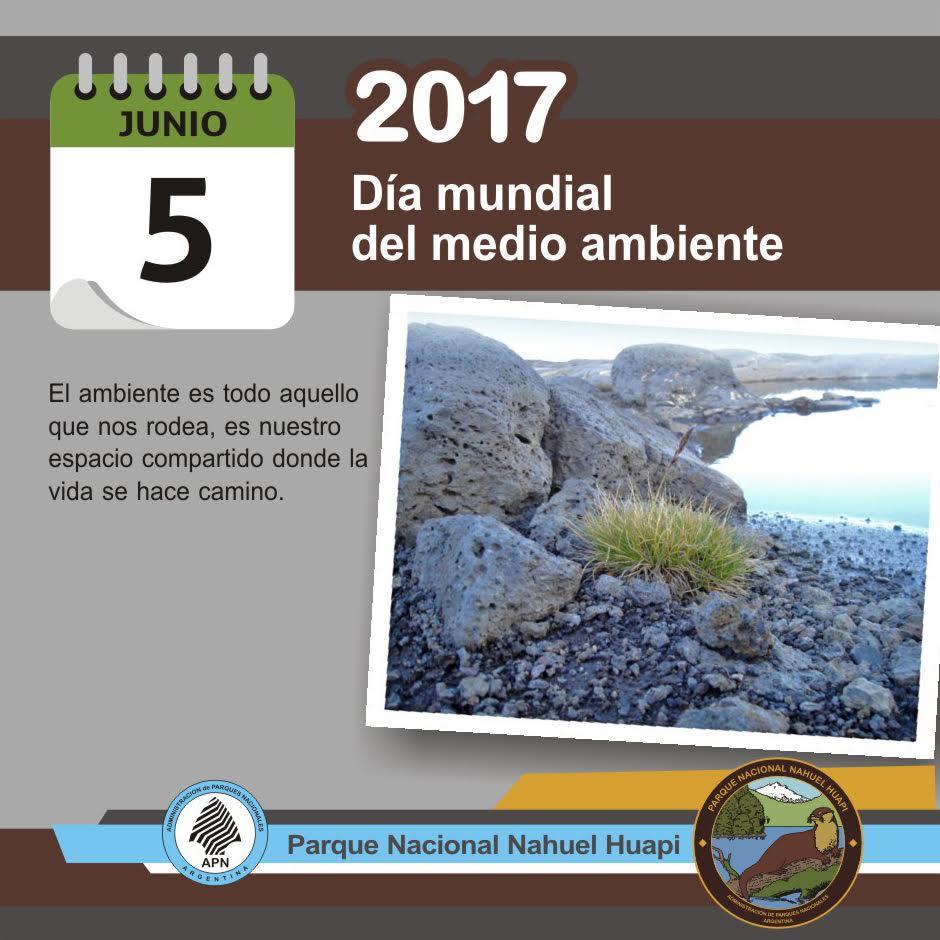 5 de junio: D&iacute;a Mundial del Medio Ambiente