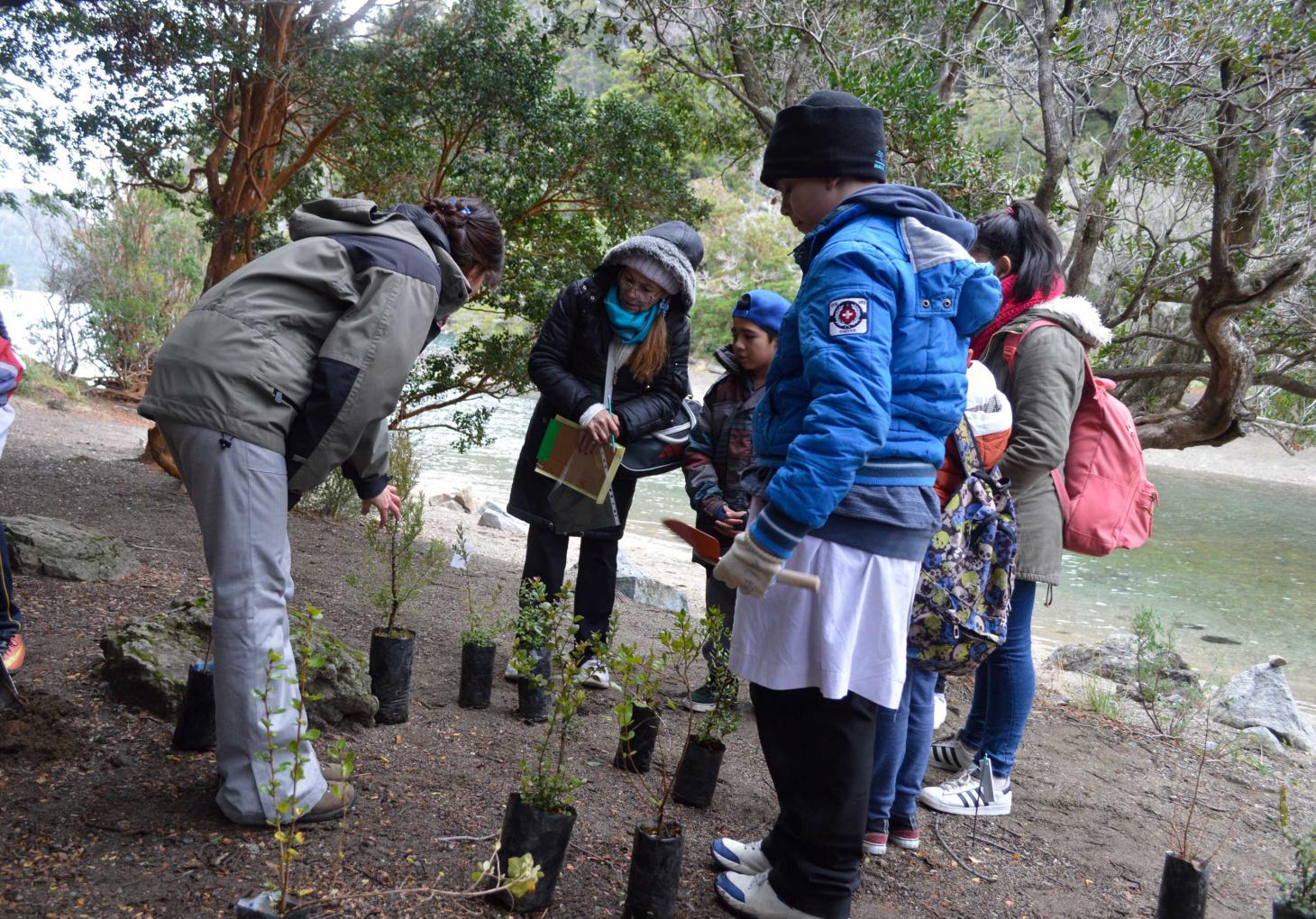 Restauraci&oacute;n costera de un importante sitio para la conservaci&oacute;n del huill&iacute;n