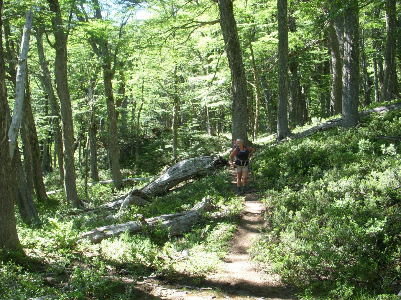 Mejoras y reapertura del sendero a Playa Mu&ntilde;oz