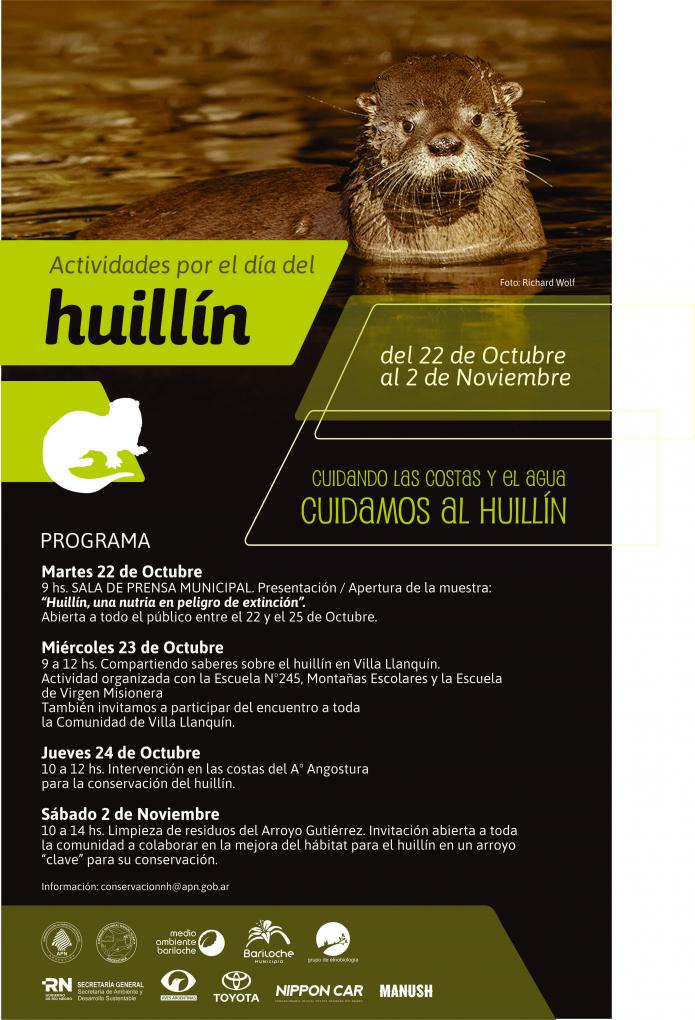 Actividades por el d&iacute;a del Huill&iacute;n