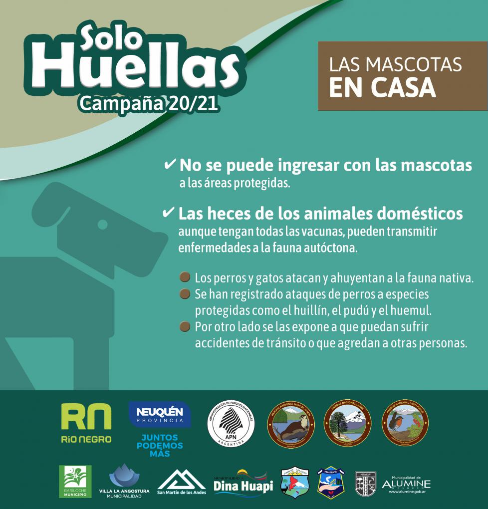 Campa&ntilde;a de prevenci&oacute;n Solo Huellas 20/21 Las mascotas deben quedar en casa