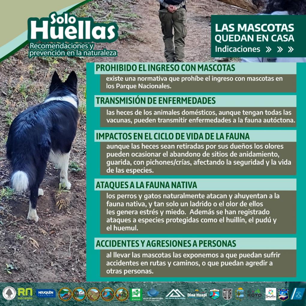 Las mascotas deben quedar en casa - Campa&ntilde;a regional Solo Huellas. Recomendaciones y cuidados en la naturaleza