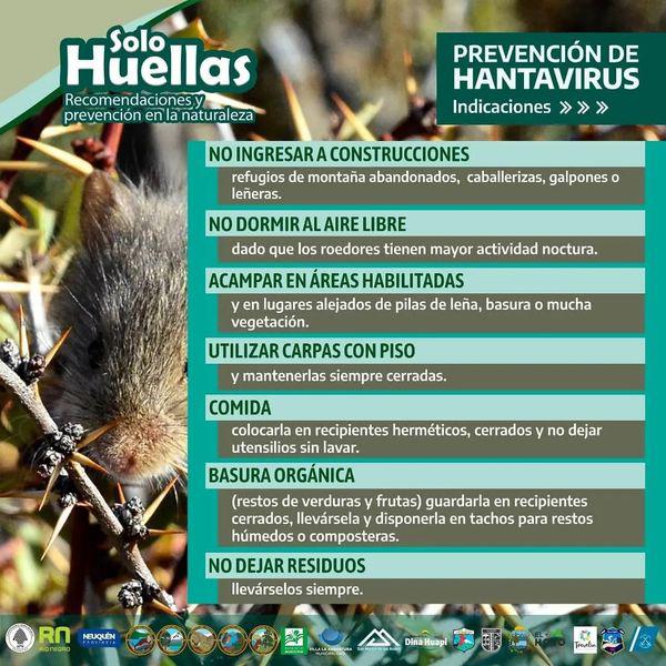 Campa&ntilde;a regional Solo Huellas. Hantavirus, prevenir enfermedades trasmitidas por roedores.