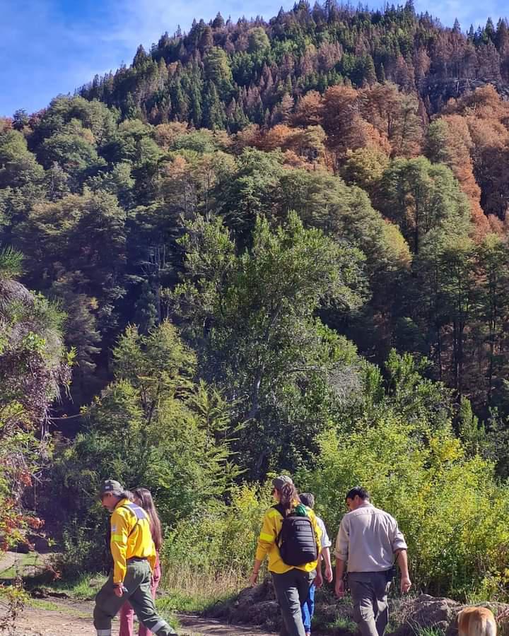 Nueva etapa de monitoreos y trabajos en la zona afectada por el incendio en la zona del Lago Martin  Steffen  Villegas - Parte 3