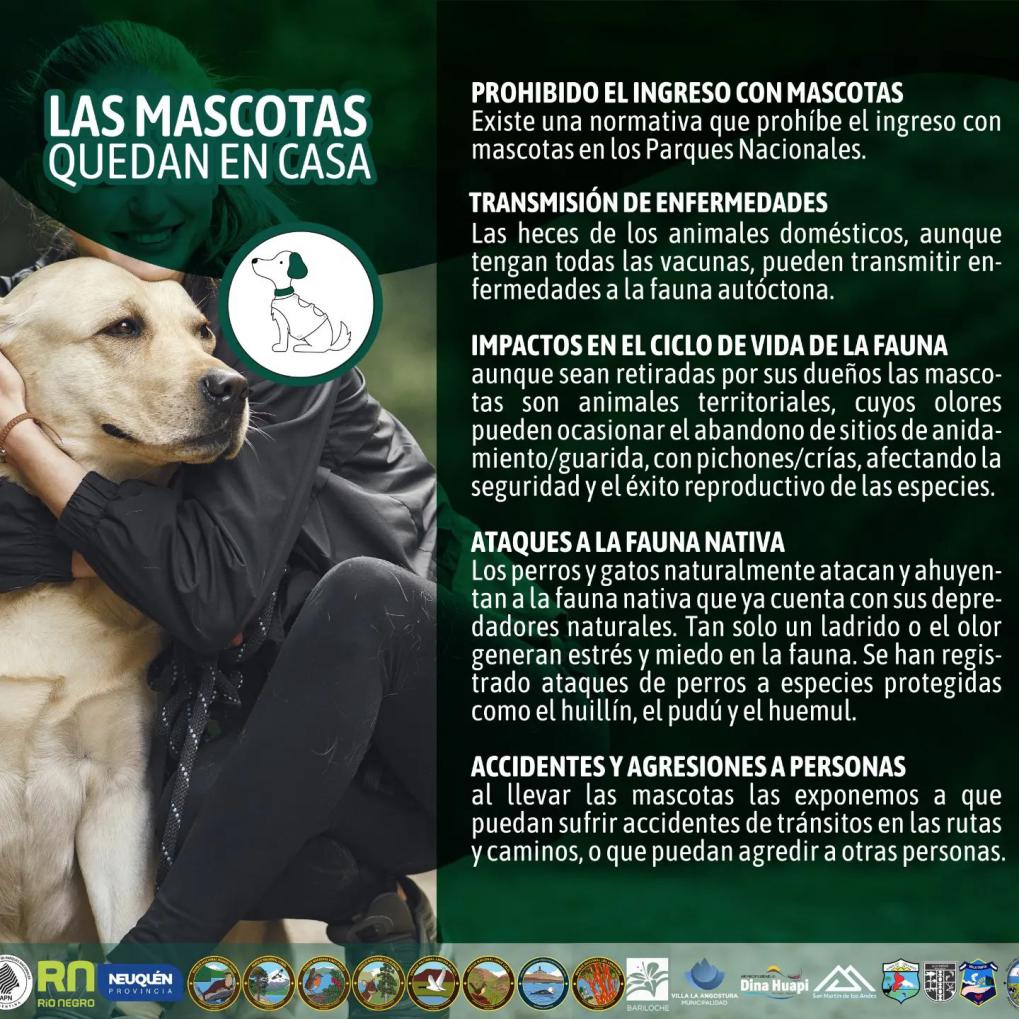 🐶Solo Huellas. Las mascotas deben quedar en casa.