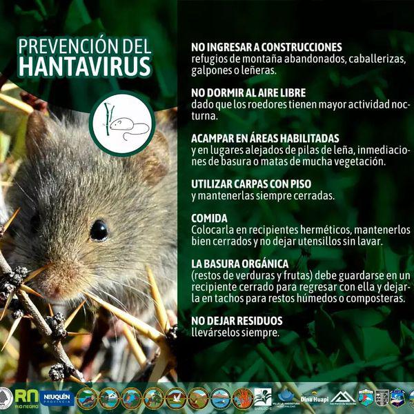 🐭"Solo Huellas. Hantavirus, prevenir enfermedades trasmitidas por roedores"
