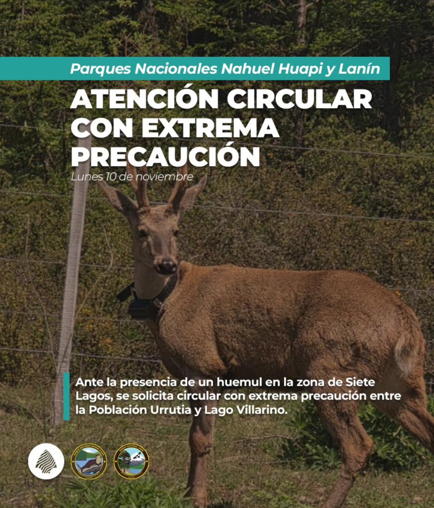‼️Circular con extrema precauci&oacute;n