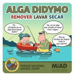 Alga Didymo &iquest;C&oacute;mo podemos entre todos evitar que se disperse?