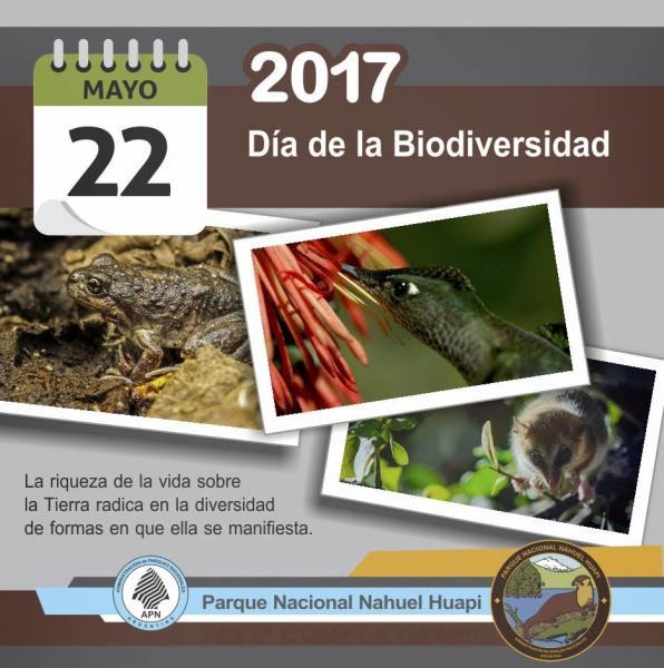 22 de mayo: Día Internacional de la Biodiversidad