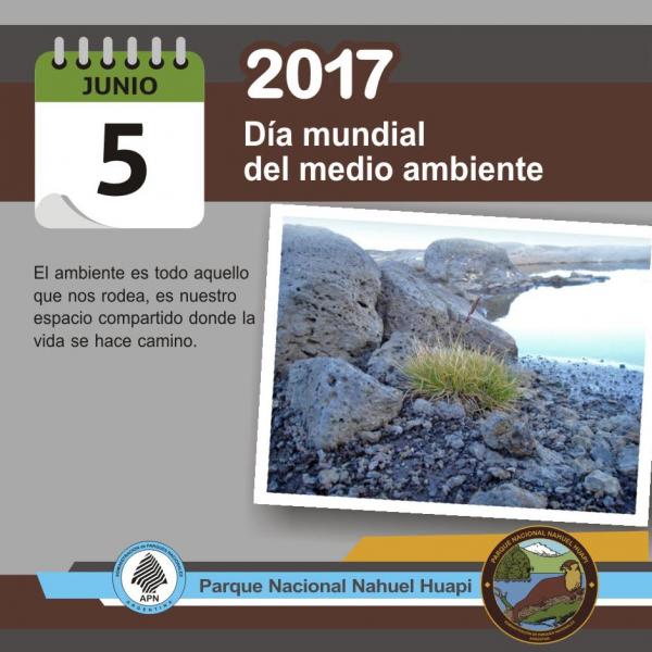 5 de junio: Día Mundial del Medio Ambiente