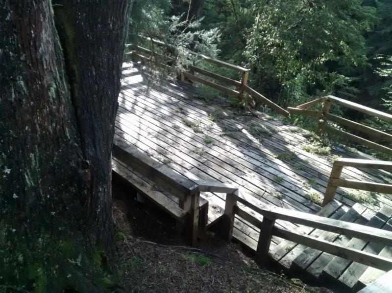 Sendero entablonado a Cascada los Alerces cerrado