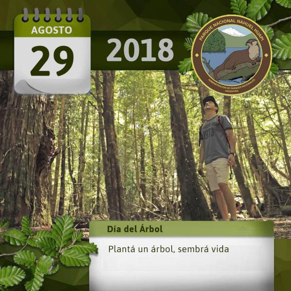 29 de agosto: Día del árbol