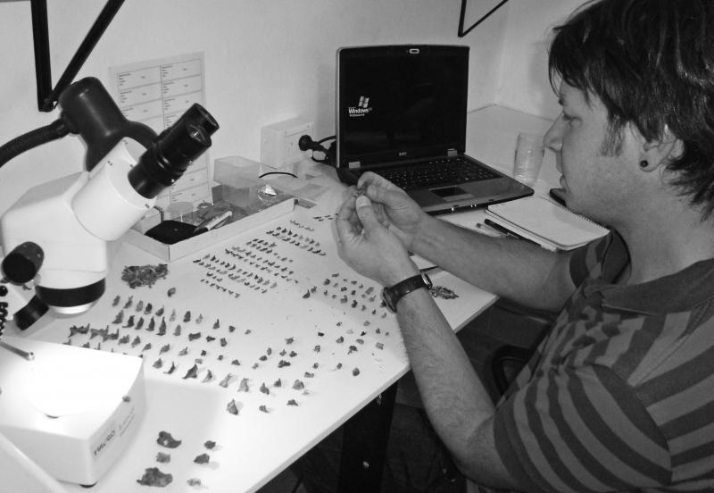 10 de abril  D&iacute;a mundial de la Ciencia y la Tecnolog&iacute;a