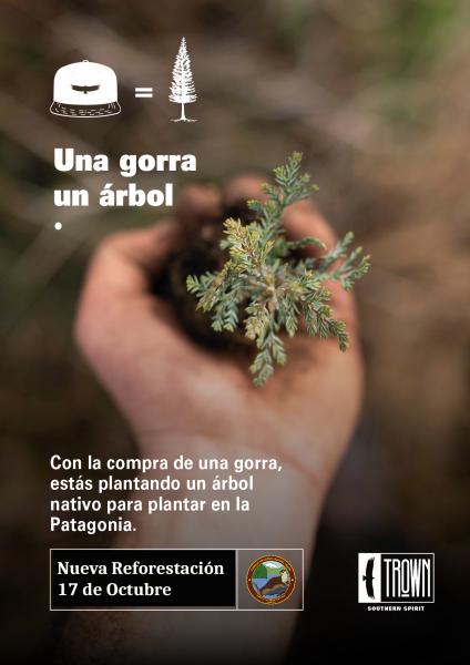 Gran plantaci&oacute;n de &aacute;rboles aut&oacute;ctonos en el Cerro Catedral