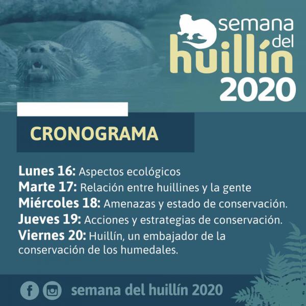 Empieza la Semana del Huill&iacute;n 2020