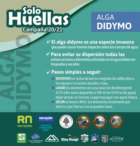 Solo Huellas 20/21 Alga didymo: Todos somos posibles dispersores del alga didymo
