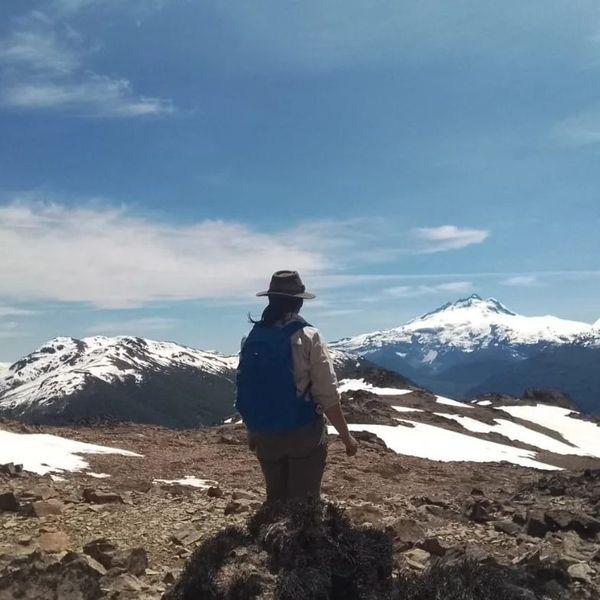 📢Tareas de control y fiscalizaci&oacute;n