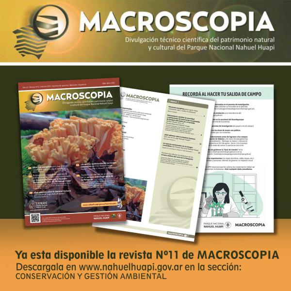 📚Revista Macroscopia nueva edici&oacute;n 2023
