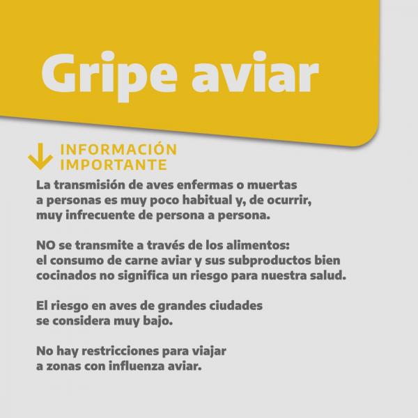  ‼️‼️ INFORMACI&Oacute;N IMPORTANTE SOBRE LA GRIPE AVIAR