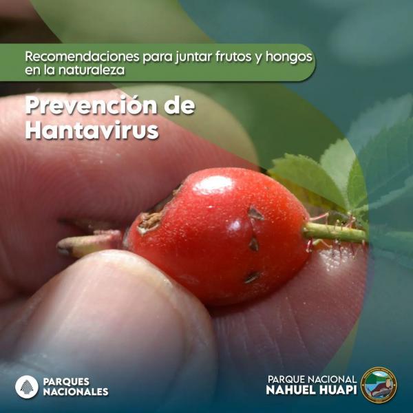 📣 INFORMACI&Oacute;N GENERAL