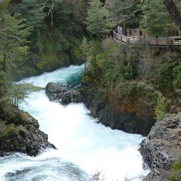 ➡️ *CIRCUITO CASCADA LOS ALERCES* 