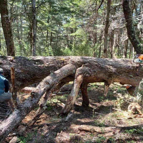  📰 INFORMACION GENERAL 📣