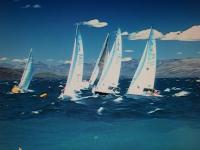 Se realiz&oacute; la  “Regata de Parques Nacionales”