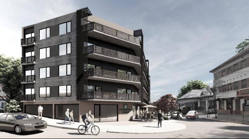 LA MASACRE DE LA ARAUCARIA DE CALLE LIBERTAD - MUERTO EL &Aacute;RBOL NO HAY RECLAMO  