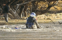 Safari Regional en Valcheta