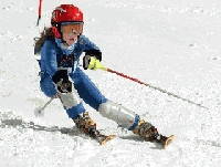 Ganaron Simari Birkner y Barbeito