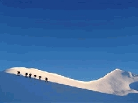 27º Curso Nacional Gu&iacute;as de Trekking en Cordillera