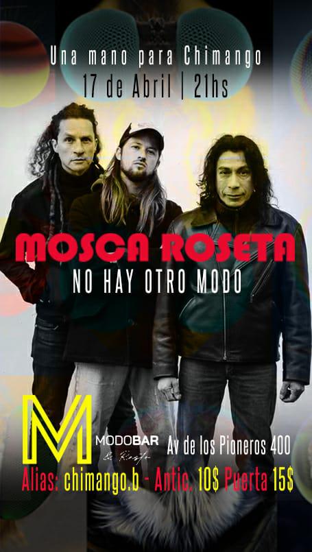 Una mano para Chimango  MOSCA ROSETA