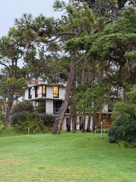 C&oacute;mo un bosque se convirti&oacute; en el mejor espacio de coworking