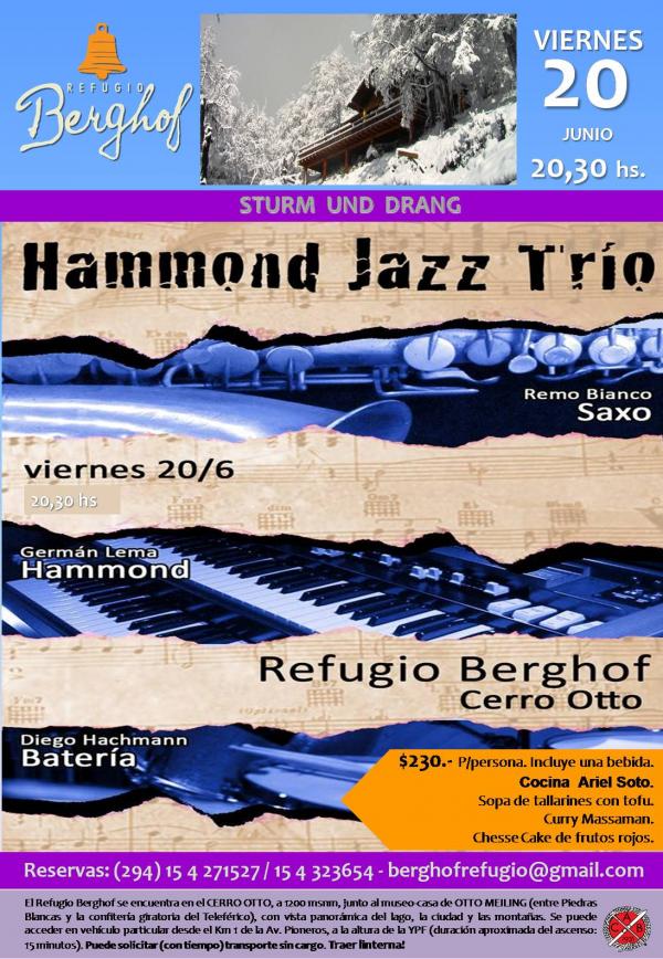Sturm und Drang HAMMOND JAZZ TRIO. 