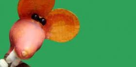 “Una ratita presumida” de Paralamano (Bolivia)