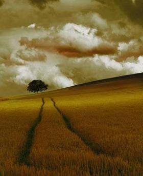 Sendero… otro modo de ver la vida