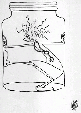 PROGRAMACIÒN DESDE EL