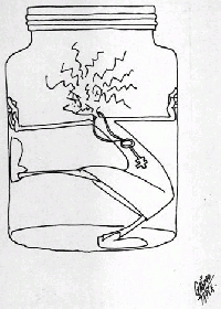 PROGRAMACIÒN DESDE EL