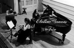 ELEDIA SONANS TR&Iacute;O+D&Uacute;O JUC- BABUSCEAC  