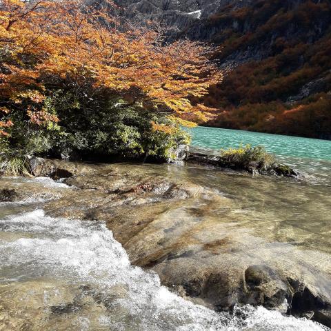 Camping Casa de Campo en la Montaña El Bolson