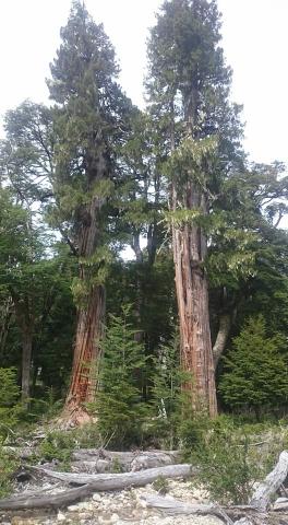 Camping Casa de Campo en la Montaña El Bolson