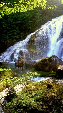Camping Casa de Campo en la Montaña El Bolson