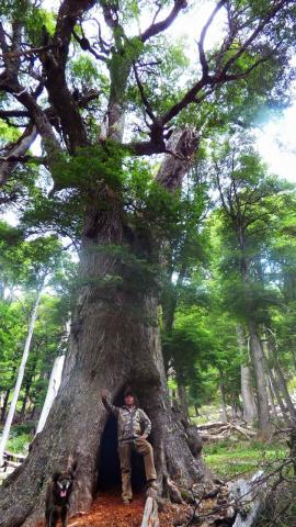 Camping Casa de Campo en la Montaña El Bolson