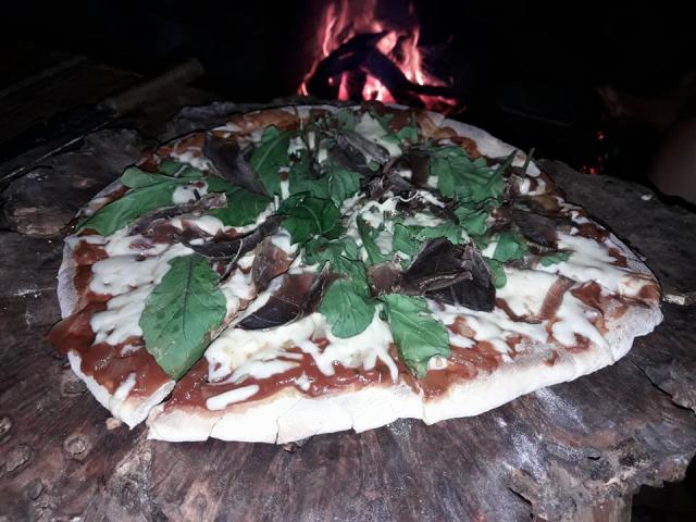 Pizza a la piedra con rúcula de la huerta y jamón crudo de Jabalí Casa de Campo en la montaña El Bolson