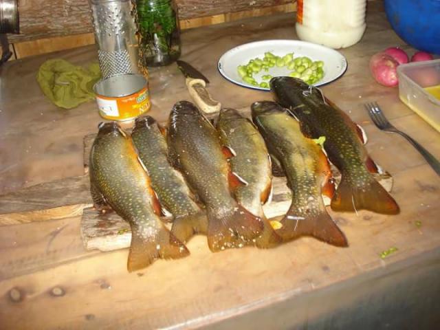 Camping Casa de Campo en la Montaña El Bolson