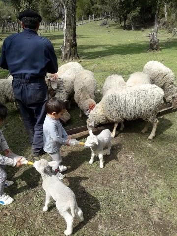 Cabalgatas al Refugio y Camping Casa de Campo en la montaña El Bolsón