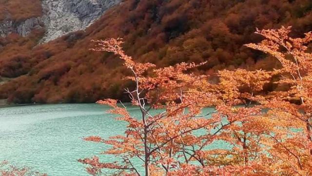 Lago Esmeralda: Excursiones guiadas ~ Cabalgatas ~Trekking ~ Casa de Campo en la Montaña El Bolsón